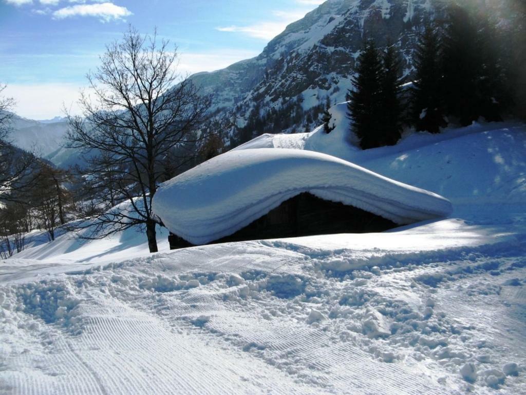 Floralp لوكباد المظهر الخارجي الصورة