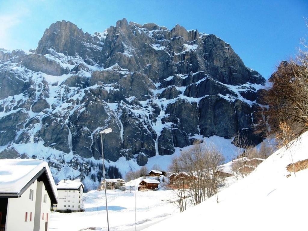 Floralp لوكباد المظهر الخارجي الصورة